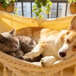 Adopting vs. Buying a Dog: Which Is Actually Better for You?